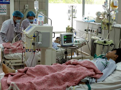 Ăn nấm độc, 7 người trong gia đình nhập viện