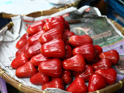 Quả roi (mận) và những công dụng không ngờ