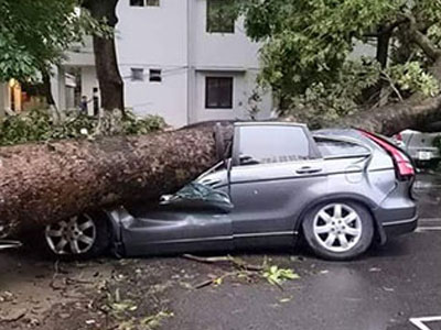Gần 4,5 tỷ đồng bồi thường ôtô sau trận siêu giông