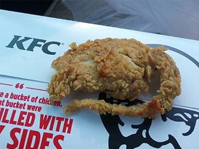 KFC bị tố chiên chuột nguyên con bán cho khách