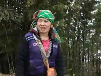 Cô gái Hmong nói tiếng Anh lưu loát