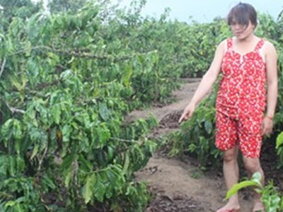 Thủ phạm "nhanh như chớp" hại đời bé gái 7 tuổi