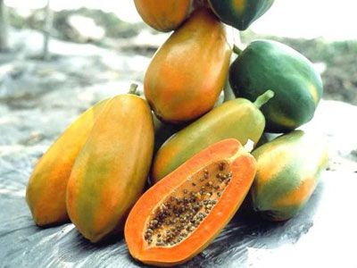 Làm gì khi gan có vấn đề?
