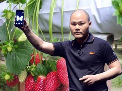 "Anh Quảng" ơi, điện thoại hàng đầu của chúng em đâu?