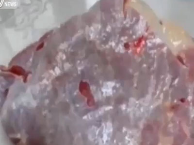 Clip: Kinh hãi dòi bò lúc nhúc khiến miếng thịt bò rung bần bật?