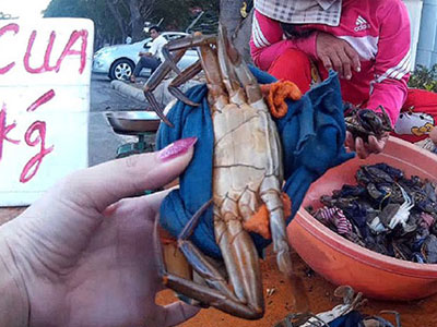 Chiêu bán cua 1 kg còn 400 gram ở vỉa hè TP HCM