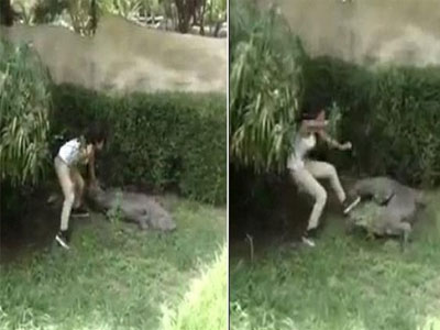 Clip: Nữ du khách suýt chết vì nhảy vào chuồng trêu cá sấu