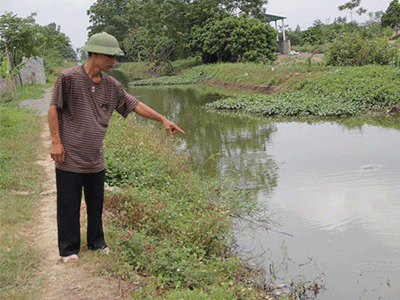 Ảnh bìa bài viết 305936