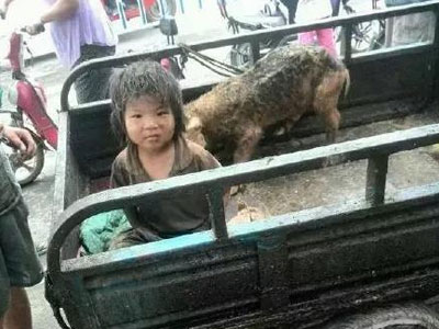 Em bé bị ngược đãi sống chung với lợn, 7 tuổi vẫn chưa biết nói