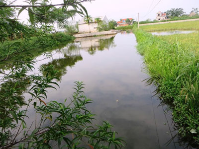 Bà ngất lịm khi thấy 3 cháu bị đuối nước tử vong