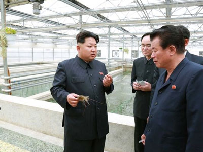 Ông Kim Jong-un tử hình giám đốc công viên vì để rùa chết đói