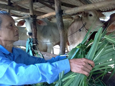 "Ép" nông dân vay với lãi suất khủng