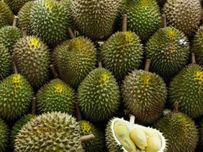 Sầu riêng tăng giá gấp đôi