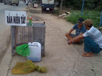 Rắn độc xuống đường phố Biên Hòa