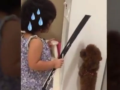 Cười ngất với clip em bé dễ thương rụng rời "Đầu xù lớn mắng đầu xù bé"