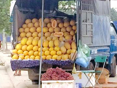 Dân Việt ăn 60 tấn dưa lưới vàng Trung Quốc/ngày