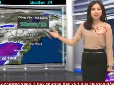 Nghi án MC bản tin thời tiết lộ nội y khi đang dẫn chương trình