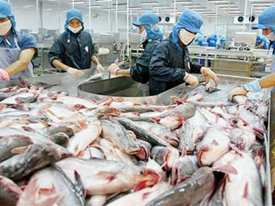 Mất 60 triệu USD vì không hiểu luật Mỹ