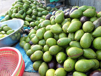 Bơ sáp 20.000 đồng/kg bán tràn phố Sài Gòn