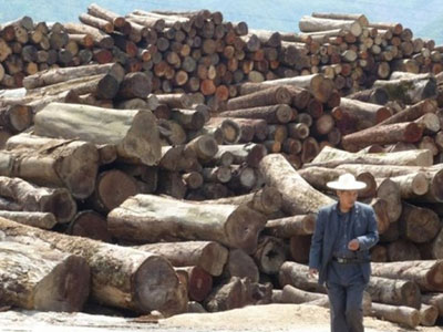 Myanmar kết án 153 người Trung Quốc tù chung thân