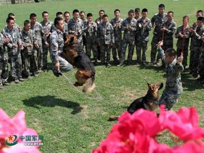 Binh sĩ Trung Quốc được trang bị giày "công nghệ cao"