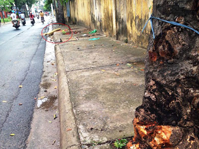 Chạy nhanh rồi tự đâm xe vào gốc cây, chết tại chỗ