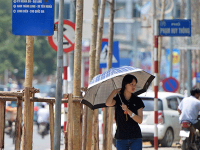 Thủ tướng: "Thông tin lại đầy đủ về đề án thay thế cây xanh"