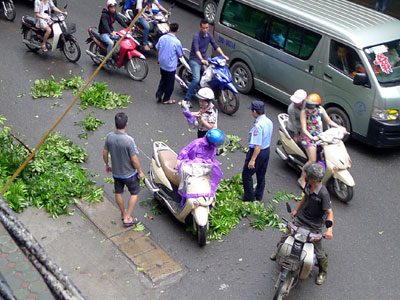 Hà Nội: Cành gây gãy rơi vào người đi đường