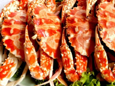 Ảnh bìa bài viết 309231