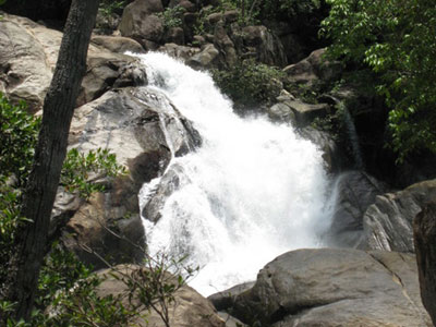 Ảnh bìa bài viết 309614