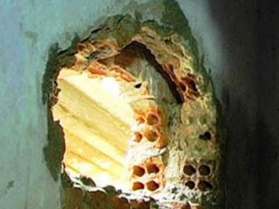 Ba tù nhân máu lạnh dùng dây thép đục tường trốn chạy lúc nửa đêm