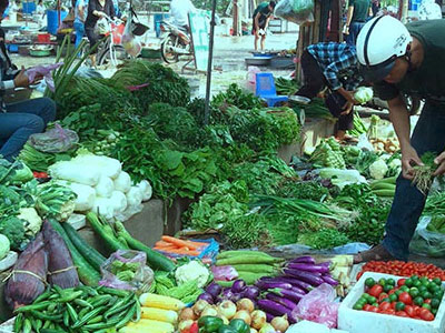 Dân buôn Hà Nội gom rau bán về Quảng Ninh lãi đậm