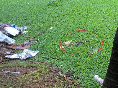 Nghi án một phụ nữ bán rau bị giết, phi tang xác xuống ao?
