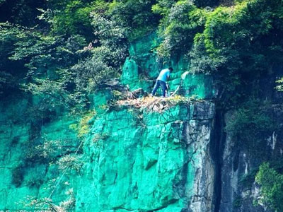 Trung Quốc: Sơn cả vách núi màu xanh cho... hợp phong thủy