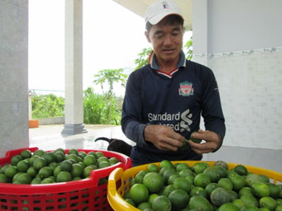 40 kg chanh không bằng một ổ bánh mì