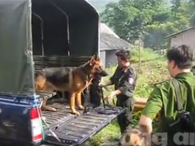 Clip: Huy động công an và chó nghiệp vụ truy bắt hung thủ