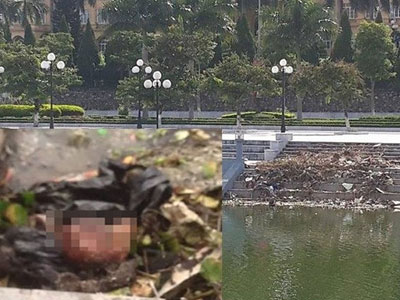 Bàng hoàng phát hiện sọ người đang phân hủy trong túi ni lông