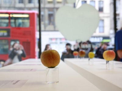 Vì sao Việt Nam chưa có Apple Store?