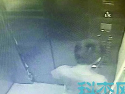 Thang máy chung cư tê liệt vì bé trai tè vào bảng điều khiển