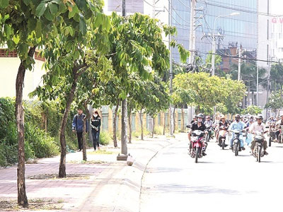 Lời khai của "chồng" đưa vợ đứng đường bán dâm, giết kẻ "ham của lạ"