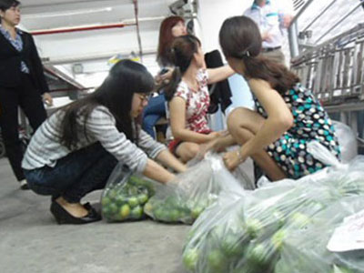Doanh nghiệp gom hơn 4 tấn chanh ế phát không cho dân