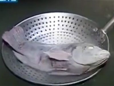Kinh ngạc clip cá chép bơi tung tăng sau khi... rã đông