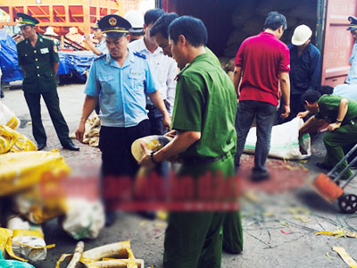 NÓNG: Thêm container ngà voi và vảy tê tê lậu "cập cảng" Tiên Sa
