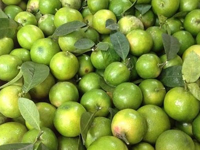 Ảnh bìa bài viết 314904
