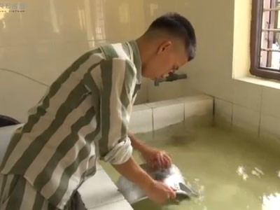 Clip: Phạm nhân đếm từng giờ trước ngày đặc xá