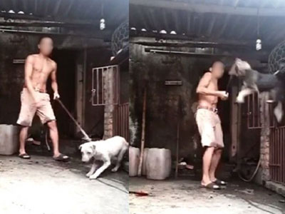 Dư luận phẫn nộ truy tìm kẻ tự quay clip giết dã man và uống máu 3 chú chó