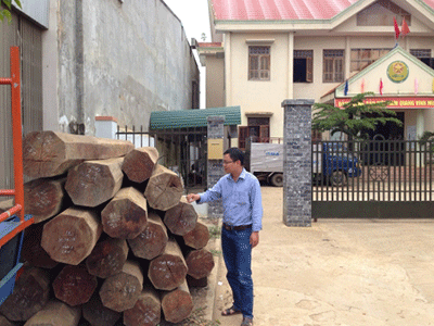 Đắk Lắk: Nguyên Phó Bí thư huyện uỷ tàng trữ gỗ lậu tại nhà riêng