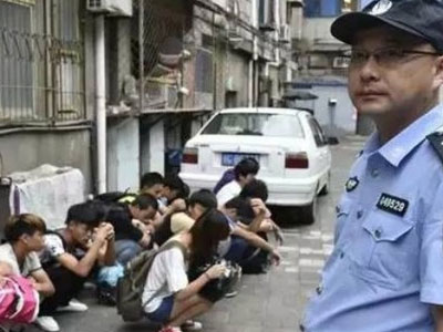 "Ổ đa cấp" sống bầy đàn, mắc bệnh truyền nhiễm giống nhau