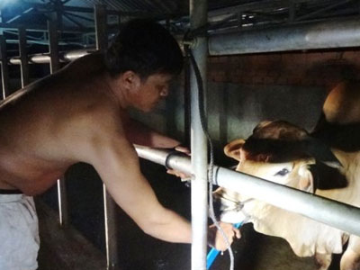 Ảnh bìa bài viết 316056