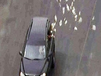 Choáng đại gia Việt rải hàng trăm triệu dài 3 km